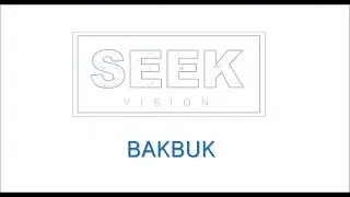 Seek Vision - Metaphysical Study Shorts - BAKBUK