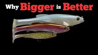 MEGABASS MAGDRAFT 8