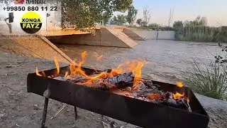 TABIYAT QOʻYNIDA 24 SOAT