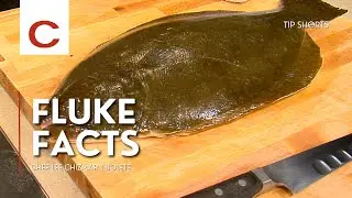 Fluke Facts | Chef Lee Chizmar | Tips #shorts