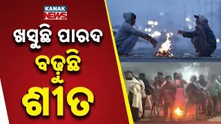 Reporter Live: Cold Wave Grips Odisha | Temperature Drops By 5&deg;C In Just 4 Days | Severe Cold Alert