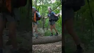 The Lion King on the AT #appalachiantrail #thruhike #hiking