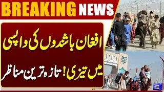Pak-Afghan Updates | Pakistan Sends Back Over 1.4 Million Afghan Refugees | Dunya News