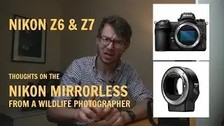 NIKON Z6 and Z7 for Wildlife Photography -  A few Thoughts | Mirrorless features NIKON LEGACY