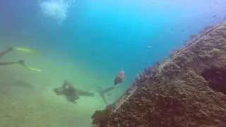 Diving wreck (tuna boat) Cabo Pulmo Beach Resort (El Vencedor Dive Site) Bull Shark drive by!
