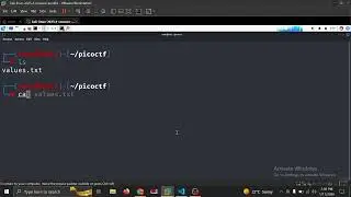picoCTF values.txt Lab Solve | Cryptography & ROT13 Explained Step by Step