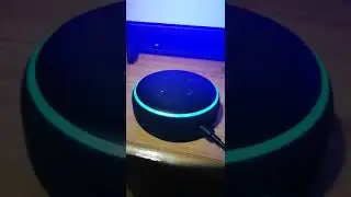 Skyrim on Alexa