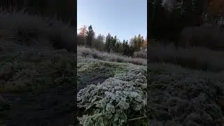 gopro video by water stream #asmr #hiking #nature #gopro
