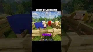 Sheep Color Mixing Minecraft #minecraft #shorts