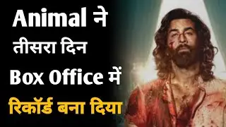 Animal day 3 box office collection | Animal box office collection | Ranbir Kapoor |