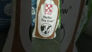 Cargill feedss heifer dry top