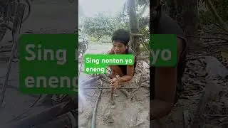 Penak nonton @#pemudatani @#petanisukses@#sawah@#bossmuda@#sahabattani@#traktor@#fbpro@#fyp