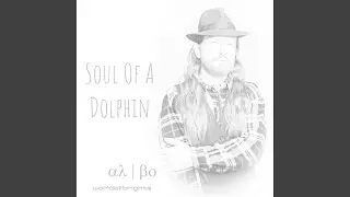 Soul of a Dolphin (Original Mix)