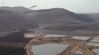 בריכות ניר דוד עמק חרוד / Nir David fish ponds, Harod Valley Israel