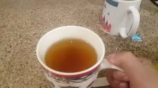 Review Dilmah Green Tea Moroccan mint