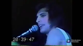Collection of Freddie Mercury 