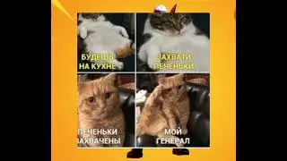 печеньки
