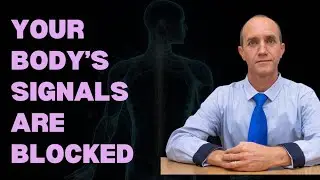 Cellular Communication Explained [And Why It Affects All Healing]