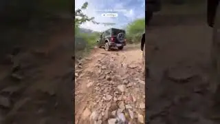 Thar in Jungle || Offroading || Trail Hunters || #thar #car #offroad #shorts