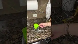 How To Get Rid Of Fruit Flies Quickly!