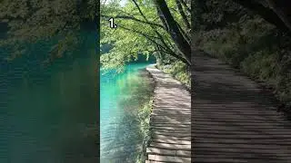 which one you choosing....? #letgo #shorts #arkpatrol #music #nature #slowed #nostalgia