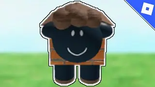 How to get the HOUSE SHEEP BADGE in FIND THE SHEEP | Roblox