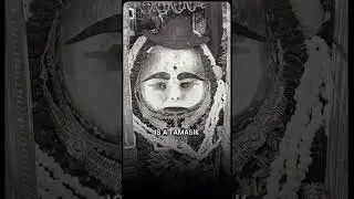 Satvik or Tamsik? The Enigmatic Bhairav and Shiva's Spectral Followers