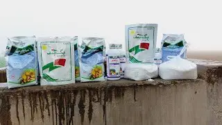 Aloo di spray | Information by CH Wahid Hussain