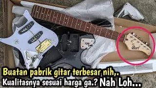 STANDAR GITAR ORIGINAL 5