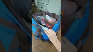 WATCH BEFORE PURCHASE: Rachael Ray Chillout Insulated Tote Bag #ad