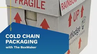 Cold Chain Packaging Solution For Fish Eggs | The BoxMaker