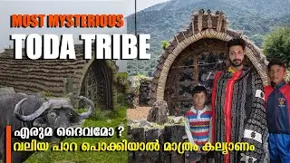Ooty toda tribe | India's Most mysterious tribe | ഗർഭിണിയായ ശേഷം വിവാഹം | Tamil nad tribe