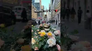 Beautiful Hongkong #homekong #hk #streetphotography #beauty #snaps #livelife #flowers #citylife