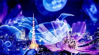 JAPANESE SONG / 80's CITY POP / TOSHIKI KADOMATSU / Vol.2 /  Lost My Heart In the Dark