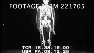 Introduction to Biology - 221705-04X | Footage Farm