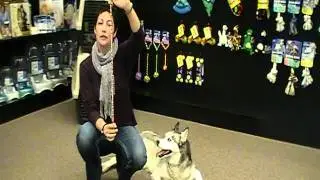 Petmate How-To: Correctly Size and Use a Chain Collar