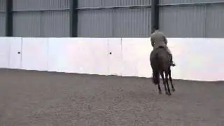 Flotate winning the TARRA class at Topthorn