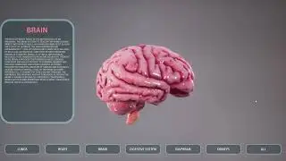 360 Visuals Qatar: VR, Human Organs