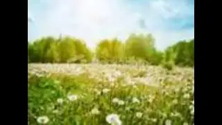 light on a hill Lyrics