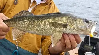 Amazing Walleye Jigging In Ontario's Far North