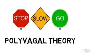 Dr Stephen Porges Polyvagal Theory is a neurological game changer for self-regulation.