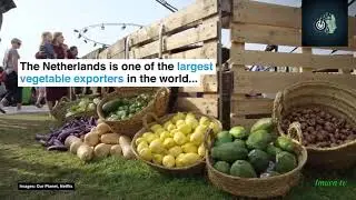 Pioneers for Our Planet | Farmers in the Netherlands