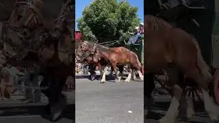 Planning a trip to the Pendleton Round Up! Full video on IG @BootsandBucketlists