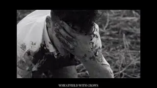 wheatfield with crows | short film
