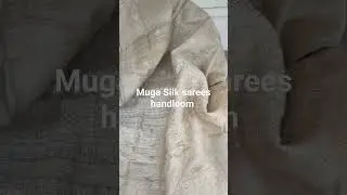 Muga Silk sarees #shorts #sorts #india #viral #bhojpura #foryou #like
