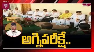 AP Local Body Elections Will Be a Major Challenge To TDP? | Prime9 News