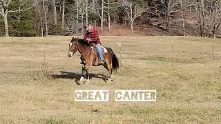 Riding Jimbo