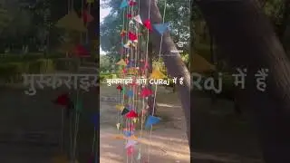 #curaj #centraluniversity
