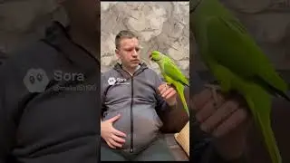 С попугаем #epicrun #funny #sora #юмор #ии #parrot #макс #animals #прикол #дуэт #попугай