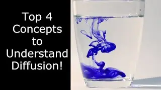 Diffusion Explained!